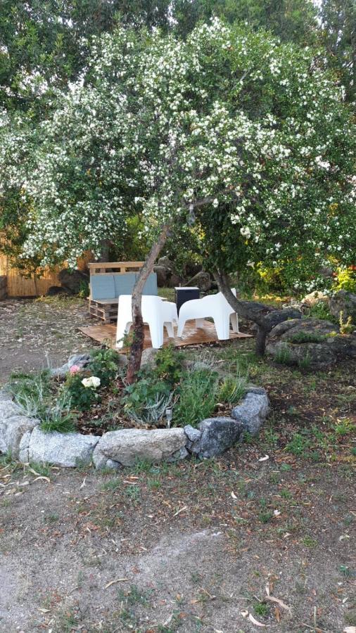 Casa Vacanze Olbia - Alebea - Exterior foto